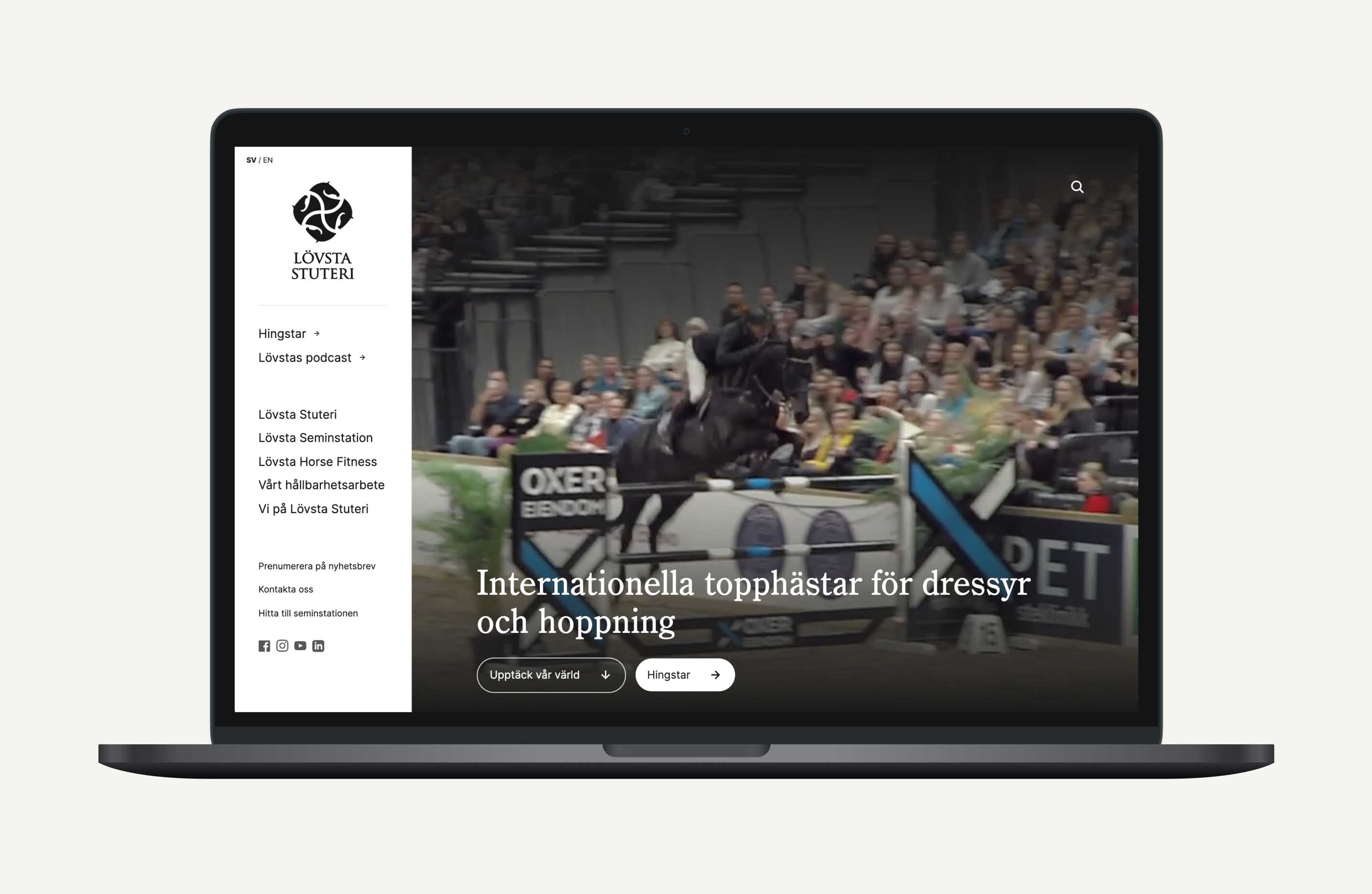 Lövsta Stuteri Website