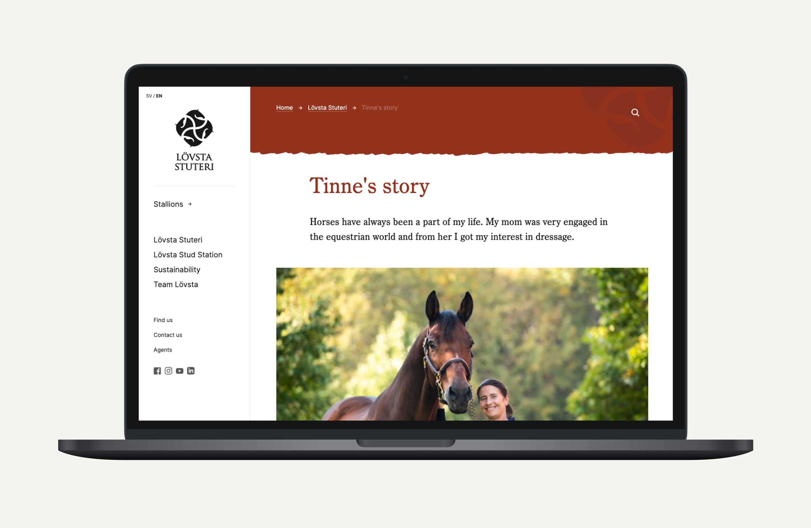 Lövsta Stuteri Website