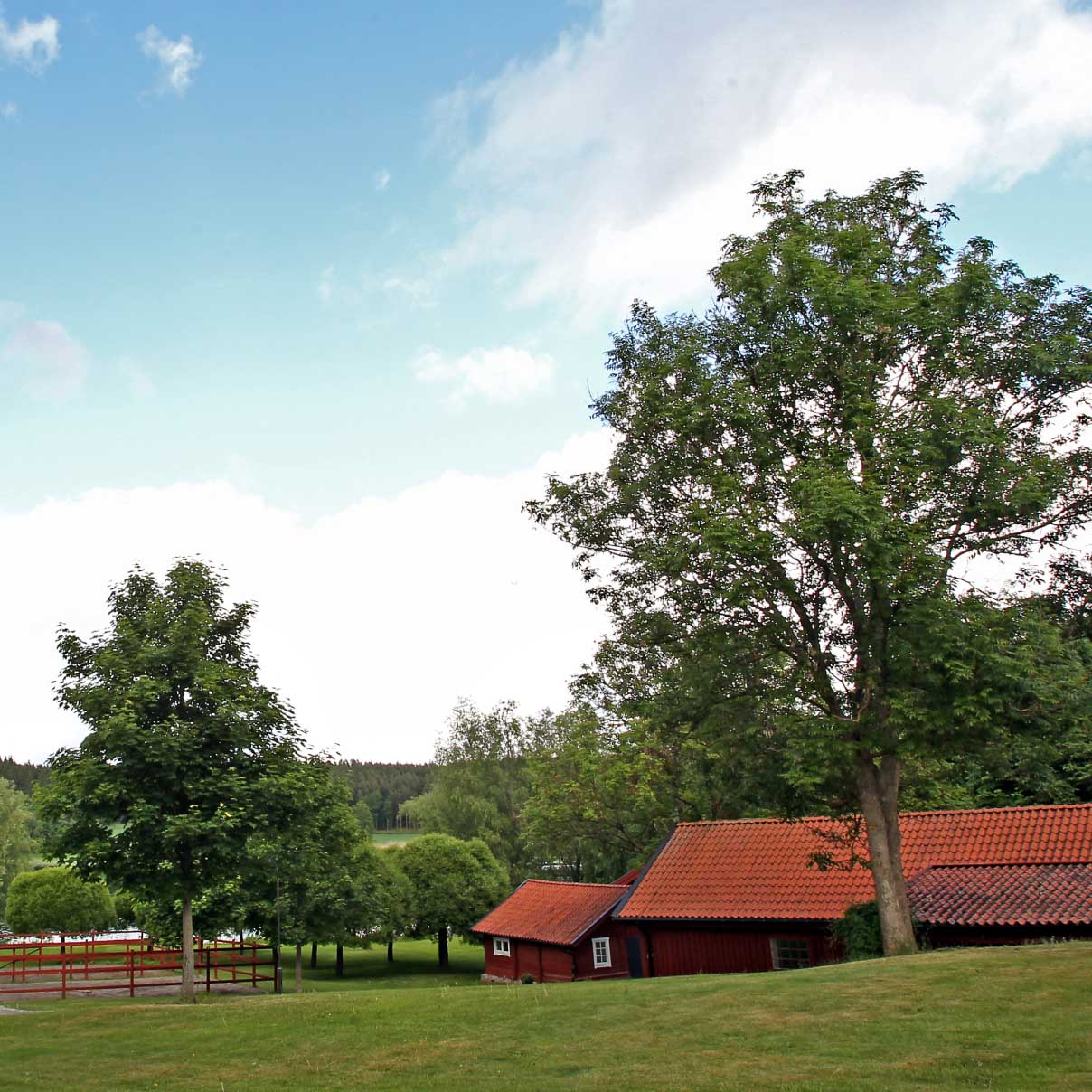 Lövsta Stuteri Scenery